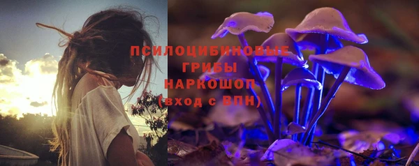 mdma Белокуриха